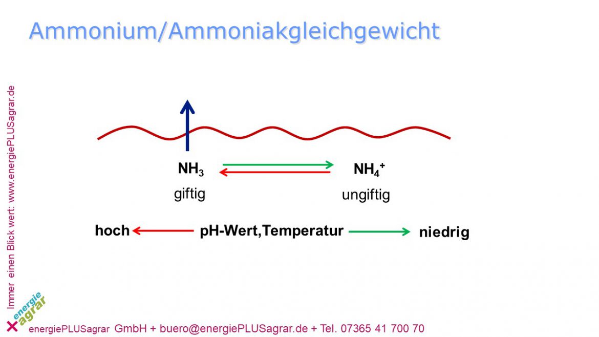 Ammoniak Ist Ein Problem - Energie+agrar