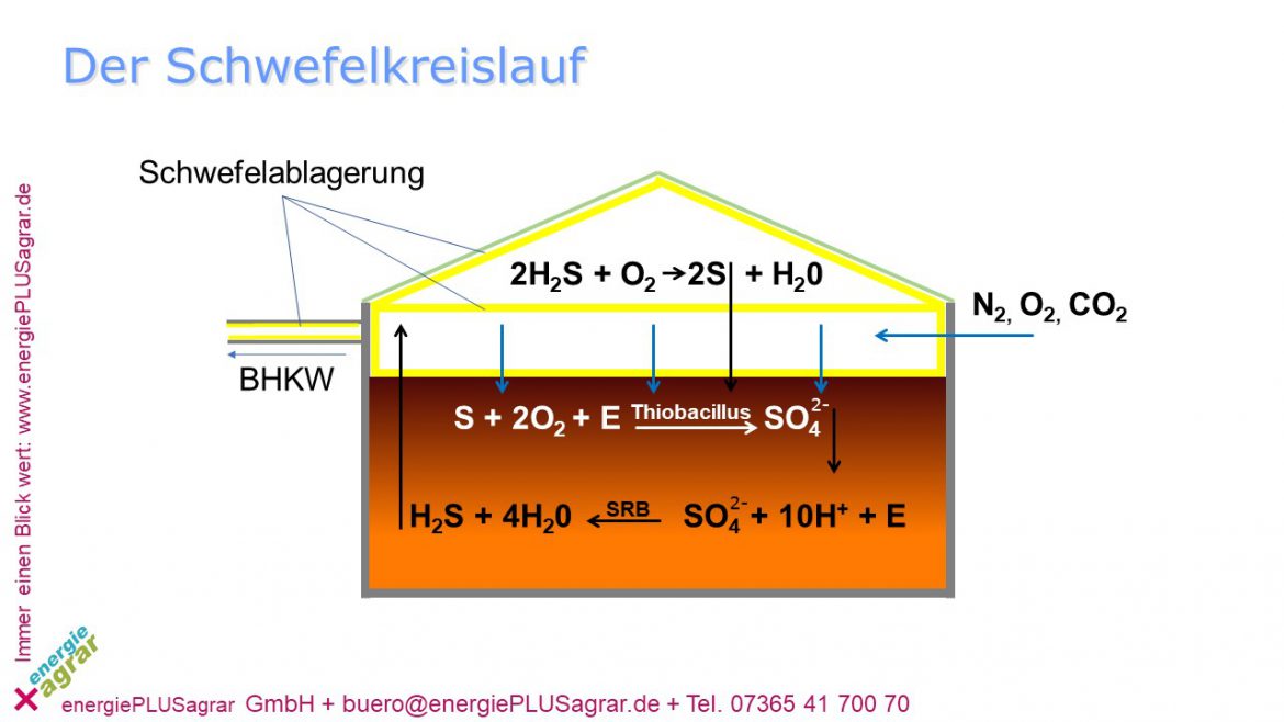 Biogas entschwefeln, aber richtig! - energie agrar