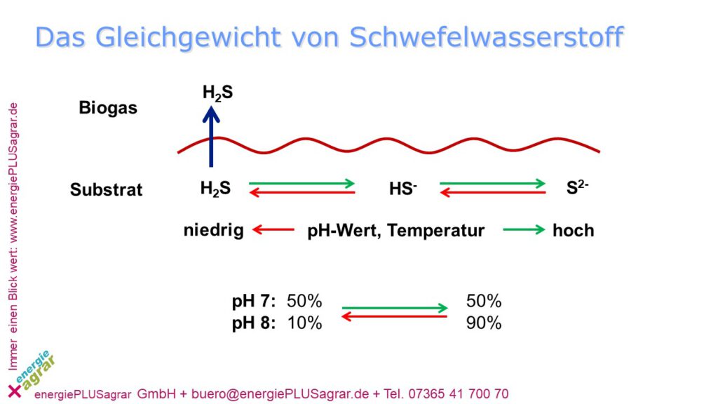 Das Schwefelgleichgewicht.